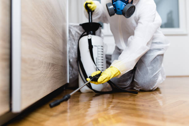 Best Cockroach Control Services  in Bartlesville, OK