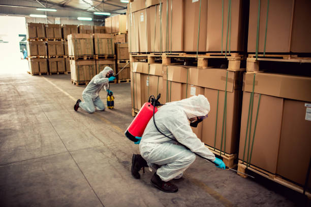 Trusted Bartlesville, OK Pest Control Experts