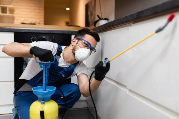 Best Bed Bug Extermination  in Bartlesville, OK